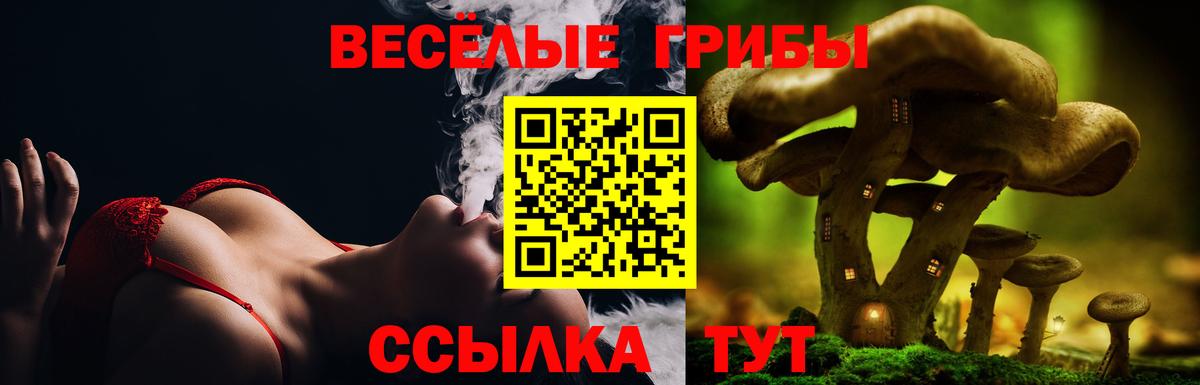 Псилоцибиновые грибы ЛСД  Галлюциногенные грибы Psilocybine cubensis  Вход с VPN  Кировск 